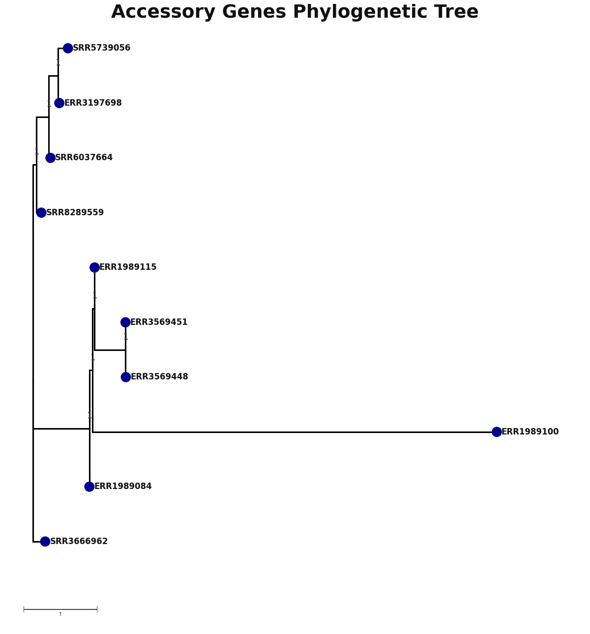 Phylogenetic tree
