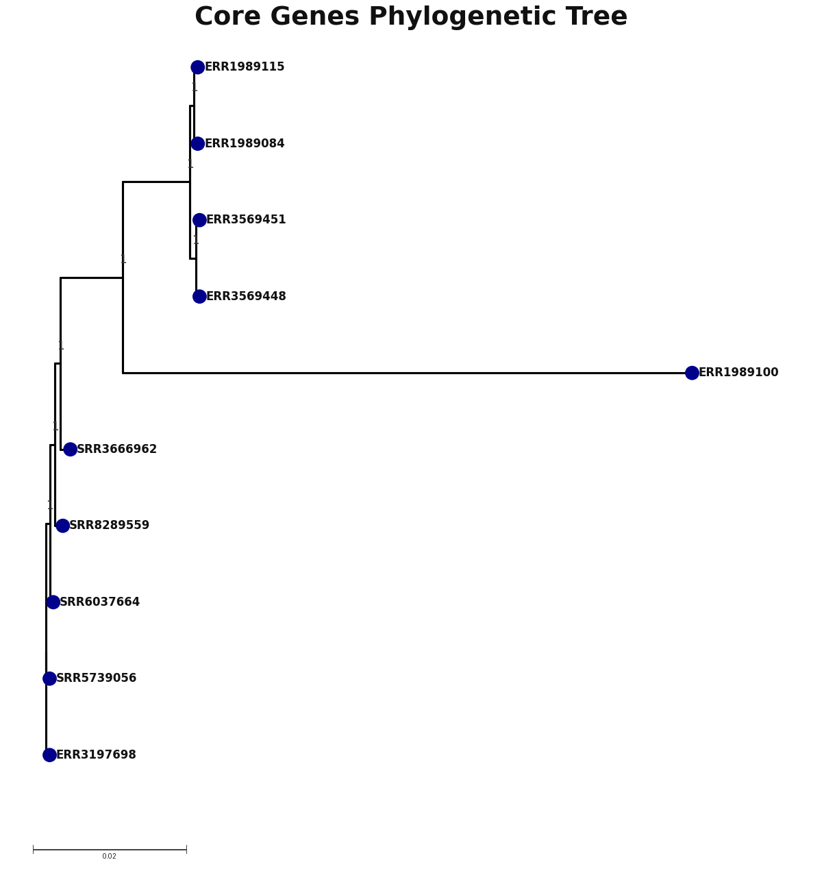 Phylogenetic tree