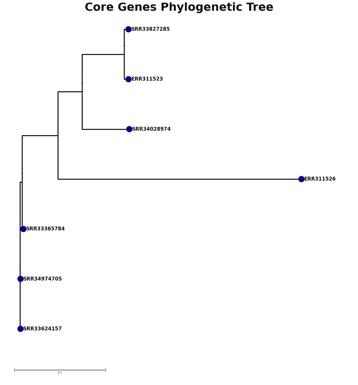 Phylogenetic tree
