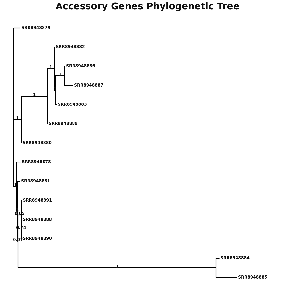 Phylogenetic tree