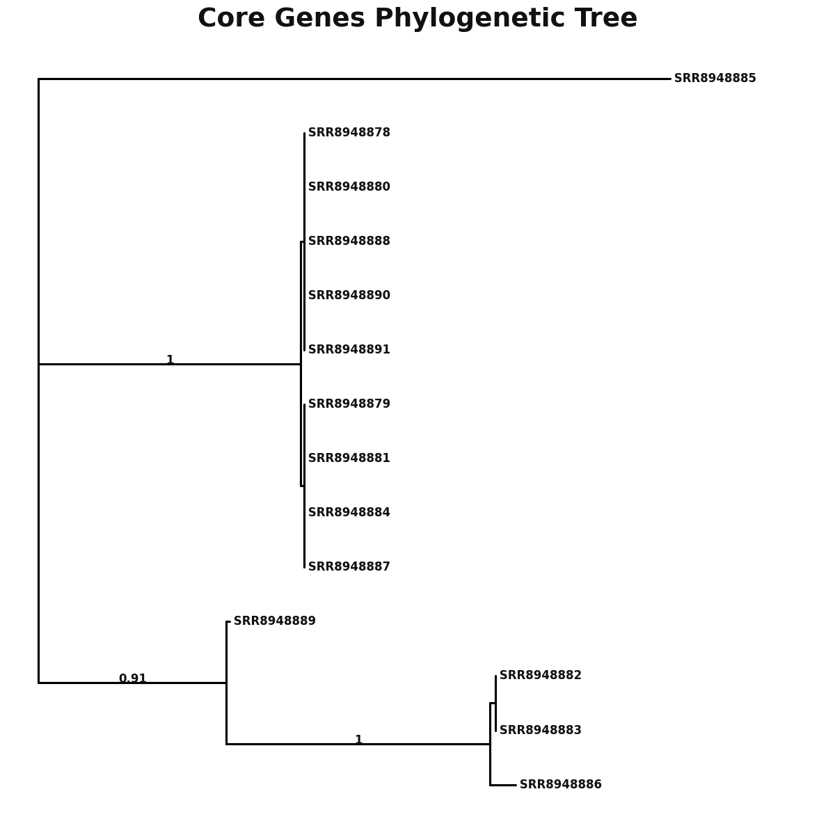 Phylogenetic tree