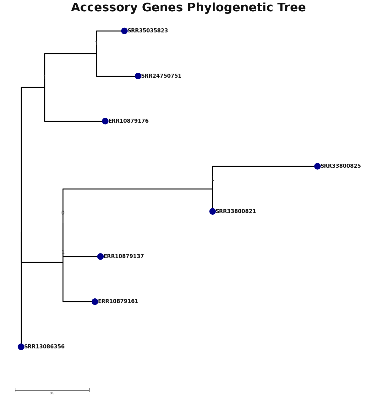 Phylogenetic tree