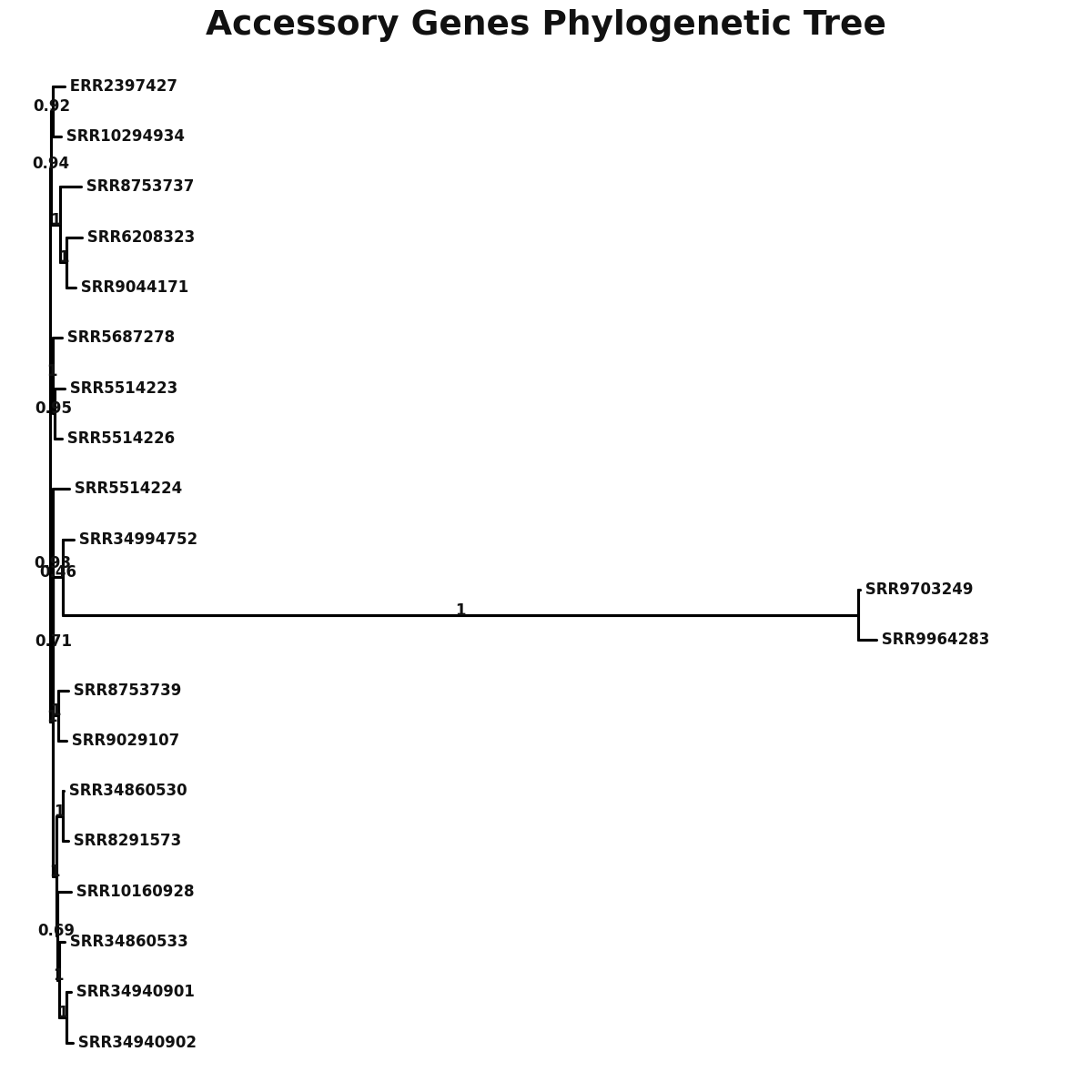 Phylogenetic tree