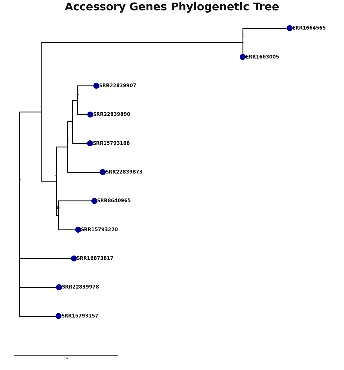 Phylogenetic tree