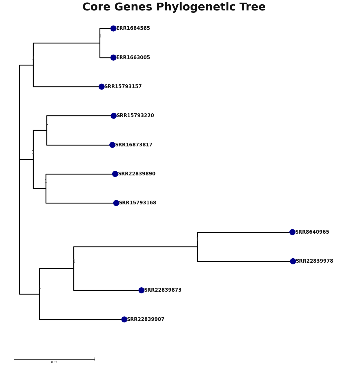 Phylogenetic tree