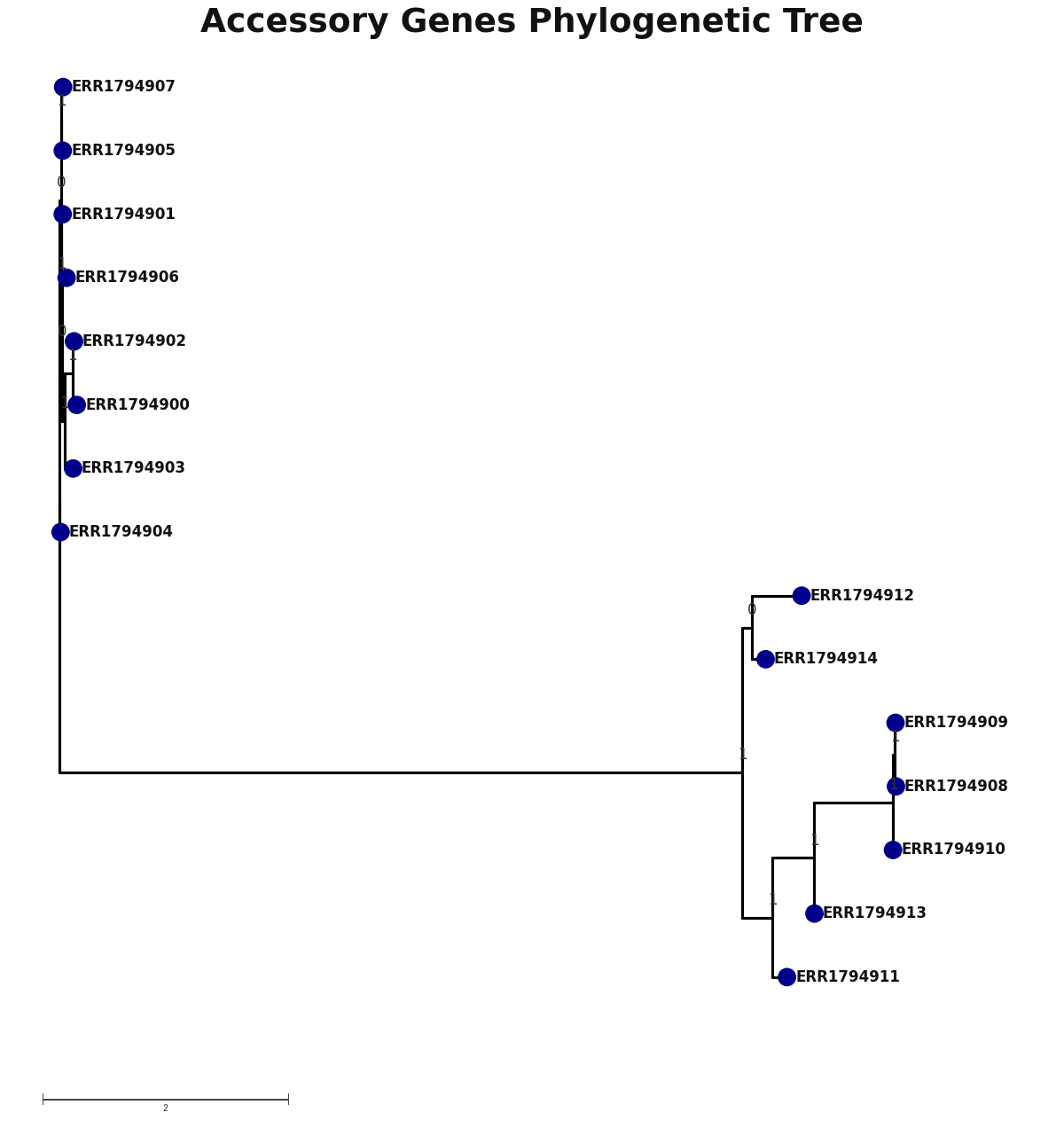 Phylogenetic tree