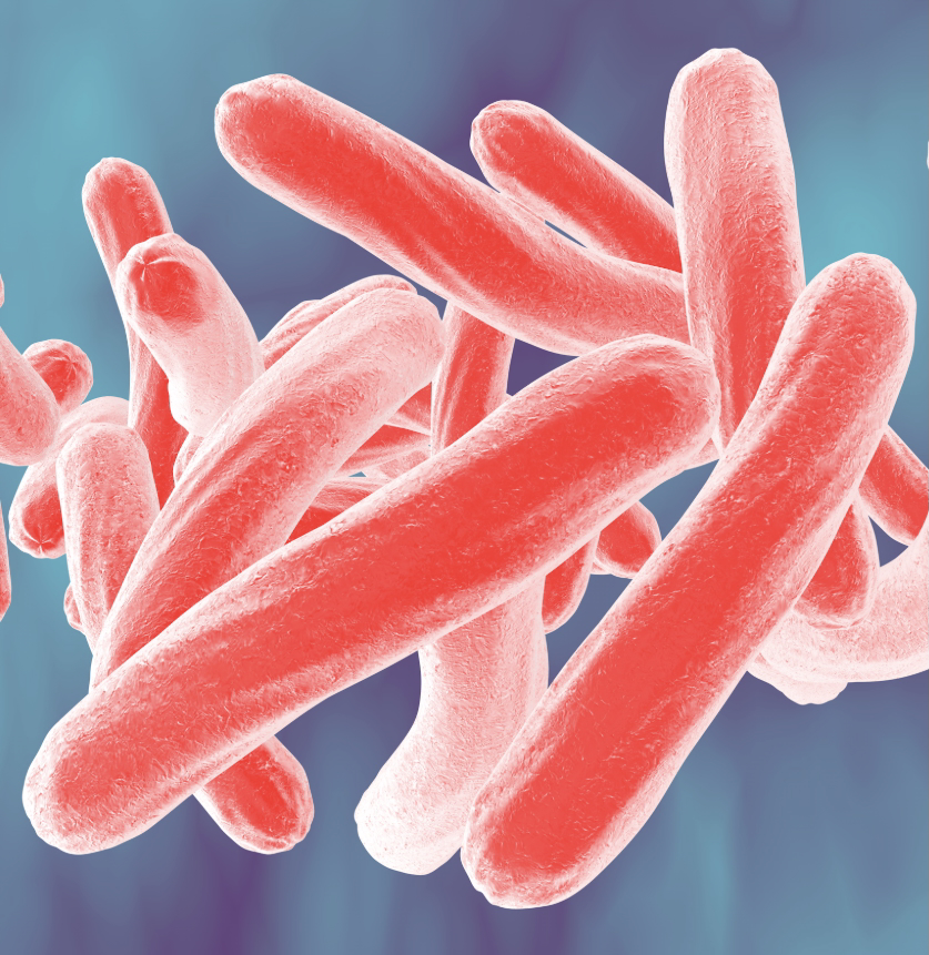 Mycobacterium tuberculosis image